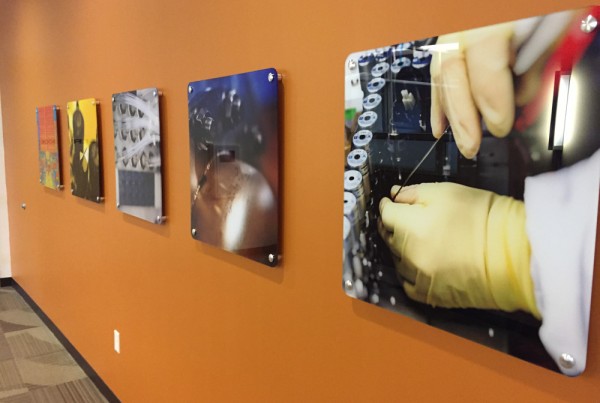 Wall graphics designed and installed by Bennett Graphics in Pleasanton