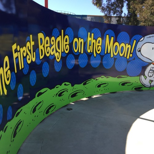 wall graphic installation for Great America, by Bennett Graphics