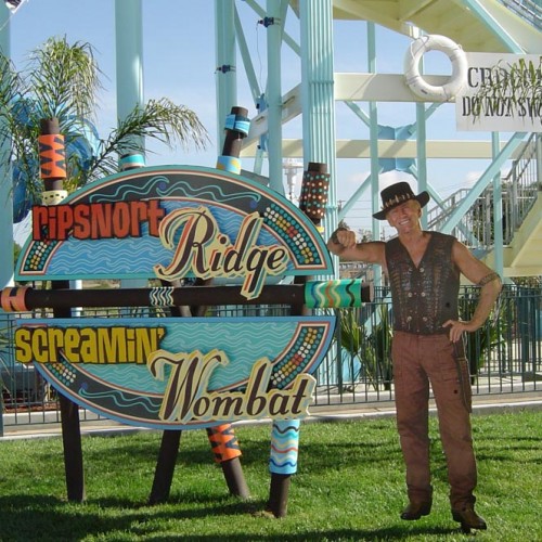 roller coaster sign production and installation in Pleasanton